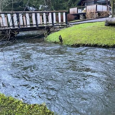 Bord De L'eau *
